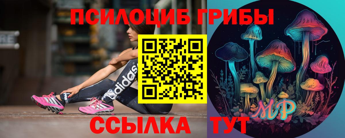 Прохладный  Псилоцибиновые грибы мицелий  Вход с VPN 